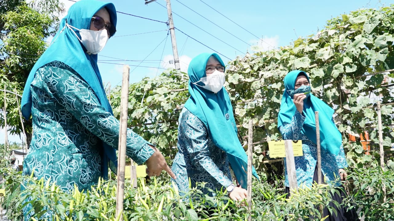 Libatkan Pkk Dinas Ketahanan Pangan Luwu Ajak Warga Tanam Pohon Kelor